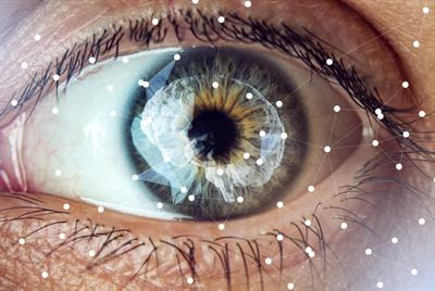 Cover image for research topic "Neuroinflammation and the Visual System"
