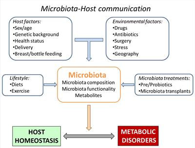 Cover image for research topic "Emerging Roles of the Gut Microbiota in the Pathogenesis of Metabolic Disorders"