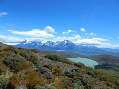 Cover image for research topic "Consequences of Climate Change for Plant Biodiversity in High Mountain Ecosystems"