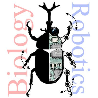 Cover image for research topic "Biological and Robotic Inter-Limb Coordination"