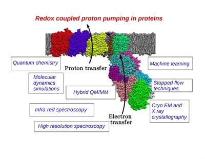 Cover image for research topic "Computational and Experimental Insights in Redox-Coupled Proton Pumping in Proteins"