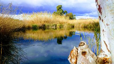 Cover image for research topic "Microbial Source Tracking"