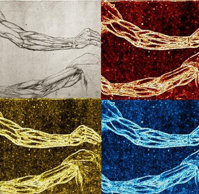Cover image for research topic "Fibrous Assemblies: From Synthesis and Nanostructure Characterization to Materials Development and Application"