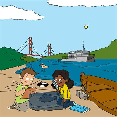 Cover image for research topic "Where the river meets the ocean - Stories from San Francisco Estuary"