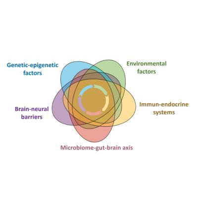 Cover image for research topic "Gene and Environment Interactions in Neurodevelopmental Disorders"