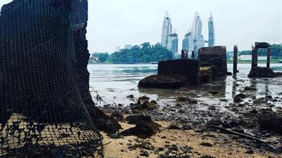Cover image for research topic "Eco-Evolutionary Dynamics of Marine Biodiversity in Human-Dominated Coastalscapes"