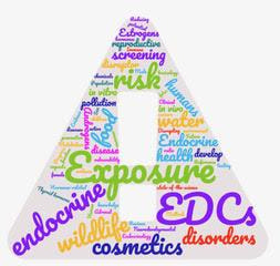 Cover image for research topic "Presence and Daily Exposure to Endocrine Disruptors: How Can Human Life Change?"