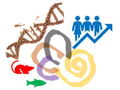 Cover image for research topic "Epidemiology and Genetics of Vestibular Disorders"
