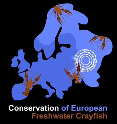 Cover image for research topic "Conservation of European Freshwater Crayfish"