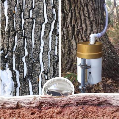 Cover image for research topic "Bark-Water Interactions"