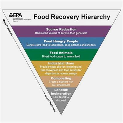 Cover image for research topic "Re-valorization of Food Losses and Food Co-products"