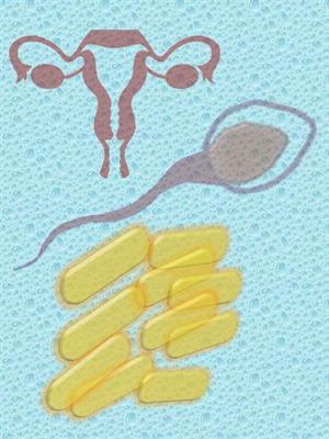 Cover image for research topic "Vitamin D Deficiency and Sufficiency in Reproduction and Bone Metabolism"