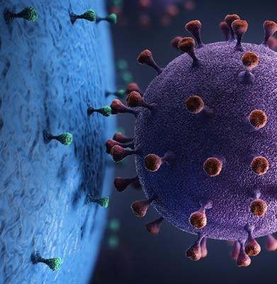 Cover image for research topic "Pathogenesis of Epstein-Barr Virus-associated Epithelial Cancers: Molecular and Clinical Perspectives"
