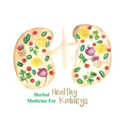 Cover image for research topic "Applications of Herbal Medicine to Control Chronic Kidney Disease"