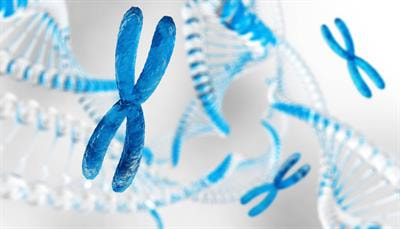 Cover image for research topic "Fertility in Klinefelter Syndrome: The Need for a Multidisciplinary Approach"