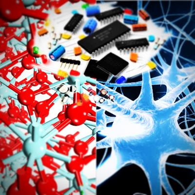 Cover image for research topic "Memristive Neuromorphics: Materials, Devices, Circuits, Architectures, Algorithms and their Co-Design"