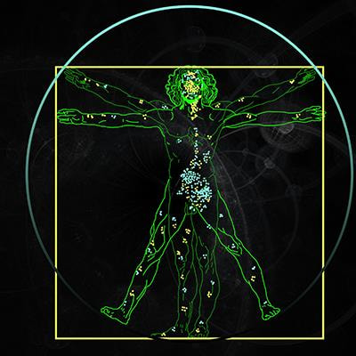 Cover image for research topic "The Endocannabinoid System: Filling the Translational Gap between Neuroscience and Psychiatry"
