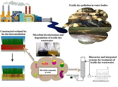Cover image for research topic "Eco-Sustainable Bioremediation of Textile Dye Wastewaters: Innovative Microbial Treatment Technologies and Mechanistic Insights of Textile Dye Biodegradation "