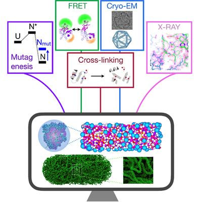 Cover image for research topic "Combining Simulations, Theory, and Experiments into Multiscale Models of Biological Events"