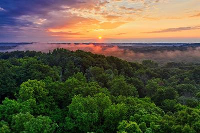 Cover image for research topic "Amazon Rainforest Future Under the Spotlight: Synergies and Trade-Offs Between Conservation and Economic Development"
