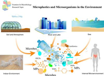 Cover image for research topic "Microplastics and Microorganisms in the Environment"