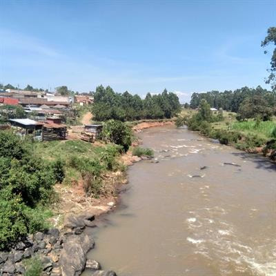 Cover image for research topic "Advances in Biomonitoring for the Sustainability of Vulnerable African Riverine Ecosystems"