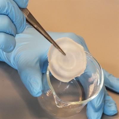 Cover image for research topic "Advances and Trends in Polyhydroxyalkanoate (PHA) Biopolymer Production"