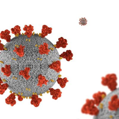 Cover image for research topic "Ethnopharmacological Responses to the Coronavirus Disease 2019 (COVID-19) Pandemic"