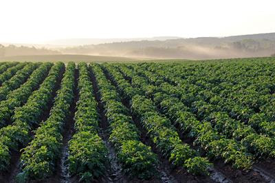 Cover image for research topic "Global Food and Nutrition Security under Changing Climates"