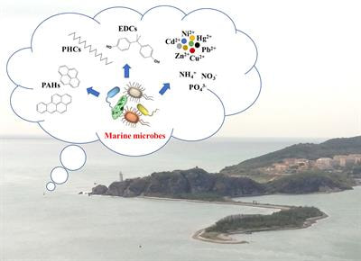 Cover image for research topic "Marine Microbes for Contaminant Bioremediation"