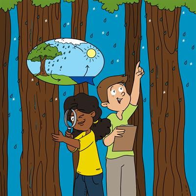 Cover image for research topic "The bark side of the water cycle"