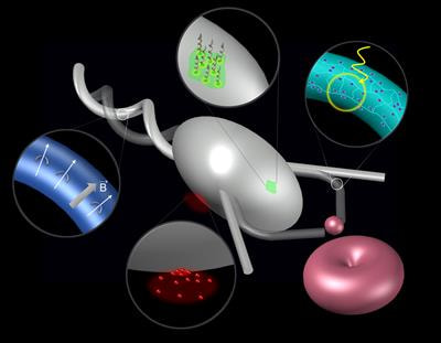 Cover image for research topic "Soft Robotics at Small Scales: From Materials to Robotic Functionalities"