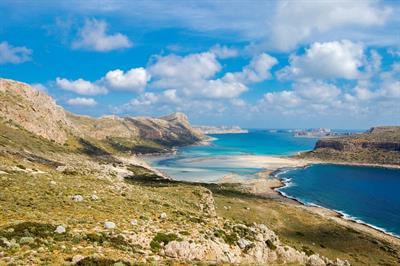 Cover image for research topic "Understanding Plant Diversity and Evolution in the Mediterranean Basin"