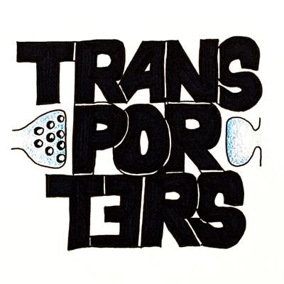 Cover image for research topic "Neurotransmitter transporters: from the biophysics of the transport process to its implications for synapse and circuit function"