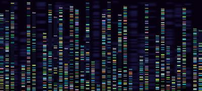 Cover image for research topic "Mendelian Randomization: Approach and Applications"
