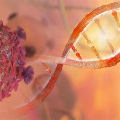 Cover image for research topic "Cancer Therapeutics: Targeting DNA Repair Pathways"