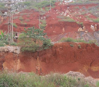 Cover image for research topic "Trace Elements in the Environment: Biogeochemical Cycles and Bioremediation"