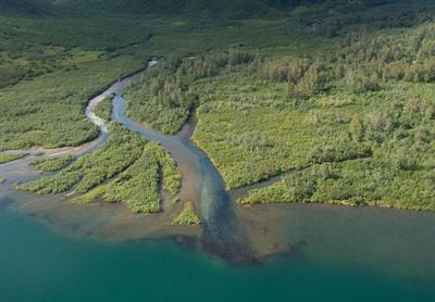Cover image for research topic "Habitat and Distribution Models of Marine and Estuarine Species: Advances for a Sustainable Future"