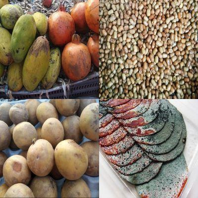 Cover image for research topic "Food Storage, Spoilage and Shelf Life: Recent Developments and Insights"