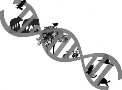 Cover image for research topic "Antimicrobials in Wildlife and the Environment"