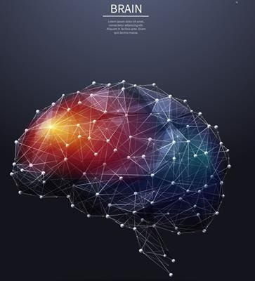 Cover image for research topic "nTMS, Connectivity and Neuromodulation in Brain Tumor Patients"