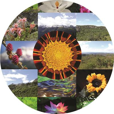 Cover image for research topic "Temporal and Large-Scale Spatial Patterns of Plant Diversity and Diversification"