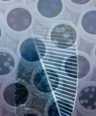 Cover image for research topic "Application of Novel Statistical and Machine-learning Methods to High-dimensional Clinical Cancer and (Multi-)Omics data"