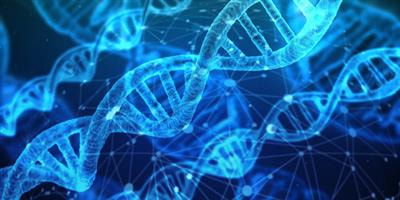 Cover image for research topic "Molecular and Genetic Mechanisms in Neurodevelopmental Disorders: From Bench to Bedside "