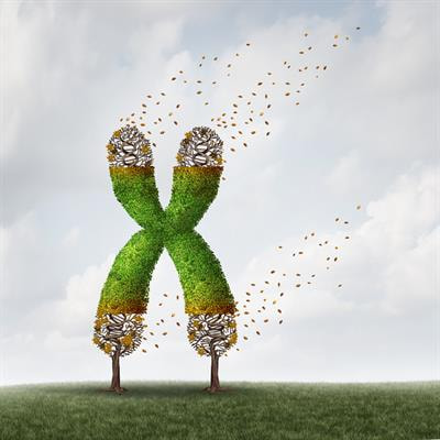 Cover image for research topic "Telomere Flexibility and Versatility: a Role of Telomeres in Adaptive Potential"