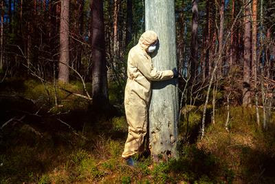 Cover image for research topic "Covid-19 Pandemic Impacts on Forests "