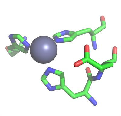 Cover image for research topic "ADAM, ADAMTS and Astacin Proteases: Challenges and Breakthroughs in the -Omics Era"