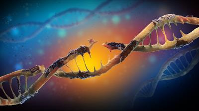 Cover image for research topic "Harnessing the DNA damage response in gynecologic malignancies"