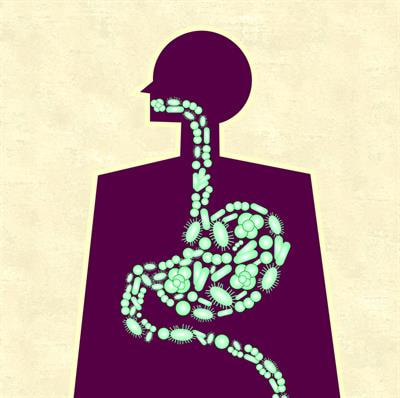 Cover image for research topic "The Oral Microbiome: Dysbiosis, Diagnostics and Oral Health"