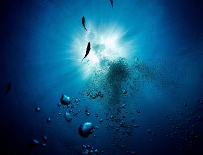 Cover image for research topic "Metabolomics in Aquatic Ecology and Aquaculture"